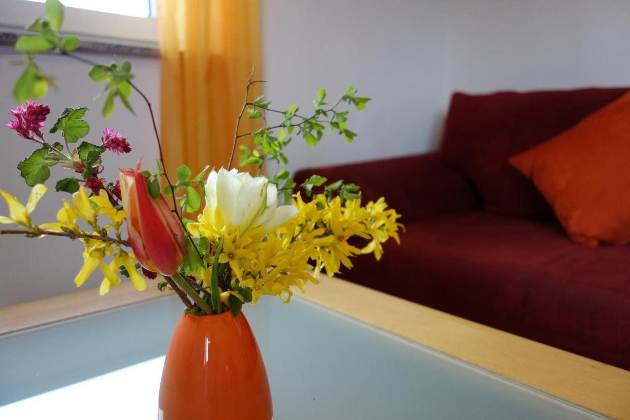 Ferienwohnung Katzheim Schlier Dış mekan fotoğraf
